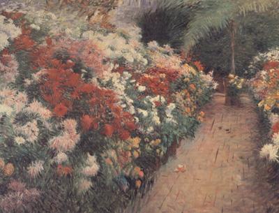 Dennis Miller Bunker Chrysanthenums (nn02) oil painting image